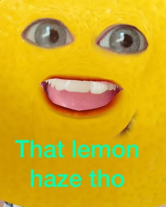 That lemon haze tho