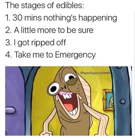 4 stages of edibles...