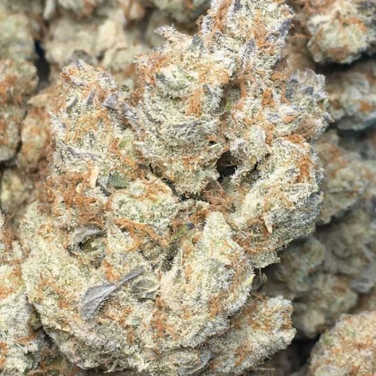 Ain’t nothing like some orange cookies‼️ Treat your lungs my people STRICTLY MEDICAL USE‼️…