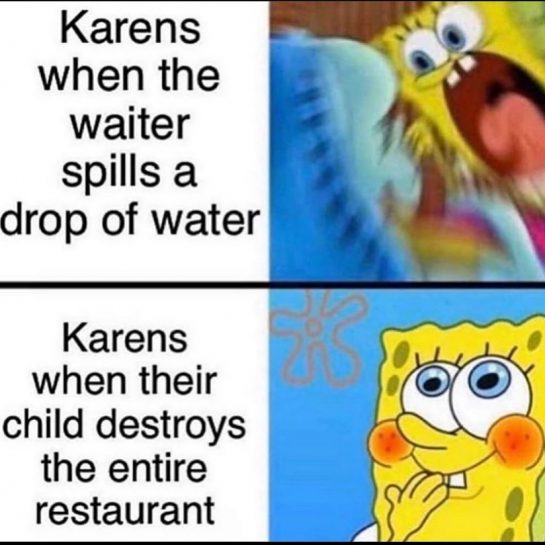Karen is Fake ——— #meme #memes #dankmemes #humor #like #dankmeme #love #anime #edgymemes #dailymemes…