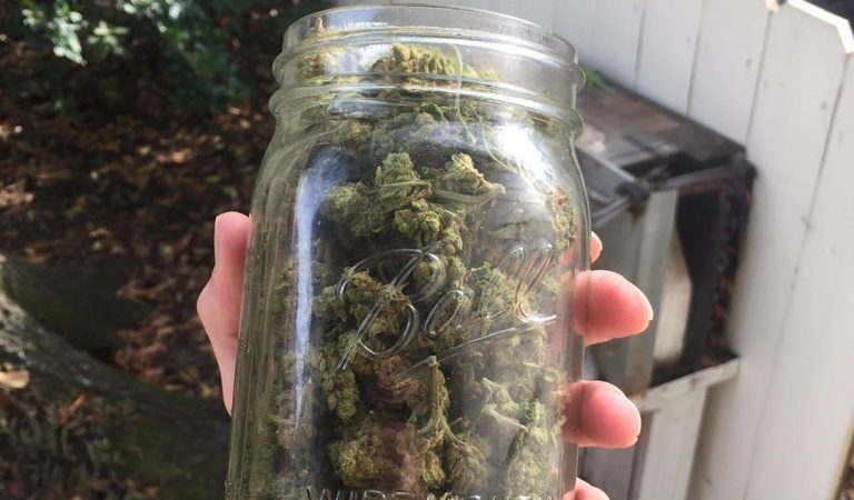 Jar full of weed is All you _ _ _ _ . . .…