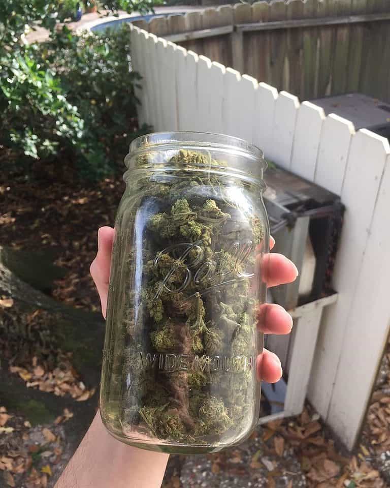 Jar full of weed is All you _ _ _ _ . . .…